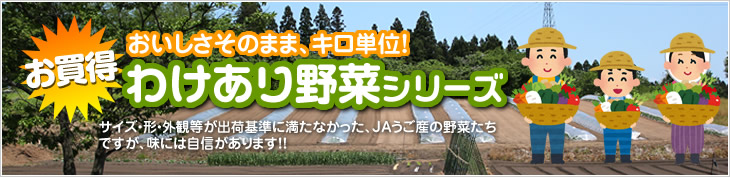 わけあり野菜シリーズ