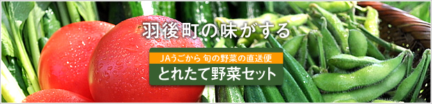 とれたて野菜セット