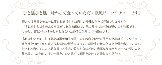 Jaうご 羽後牛シチュー 最高級黒毛和牛 羽後牛 のビーフシチュー