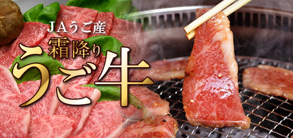 稀少黒毛和牛 うご牛