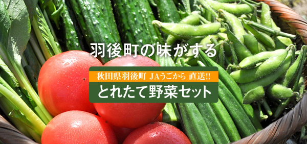とれたて野菜セット