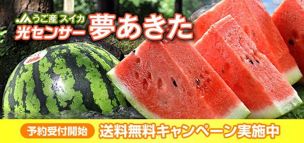光センサースイカ「夢あきた」
