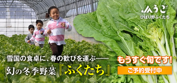 ひばり野ふくたち